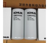 Oil filters for Kohler diesel generator,GM25504